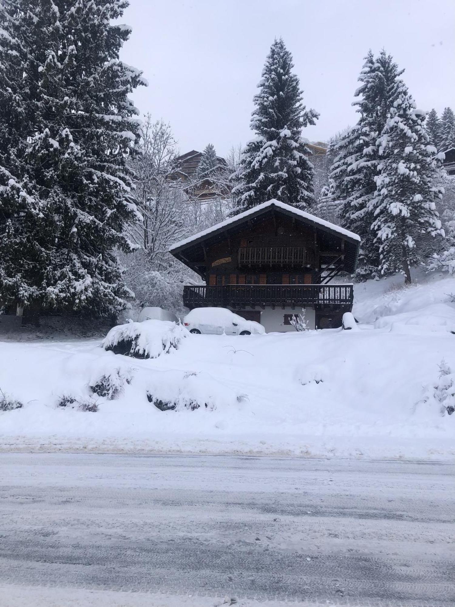 Chalet Les Mouilles - Chatel Villa Dış mekan fotoğraf